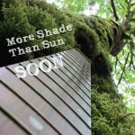 album-soon